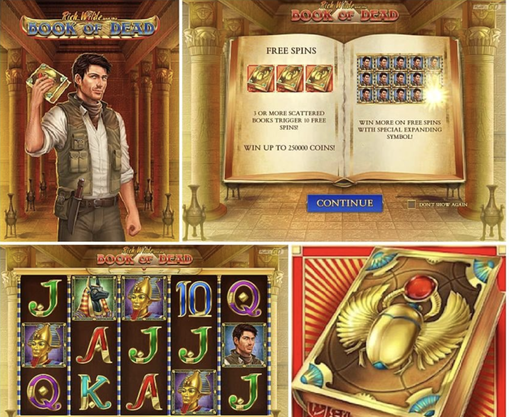 Image of Book of Dead gameplay
